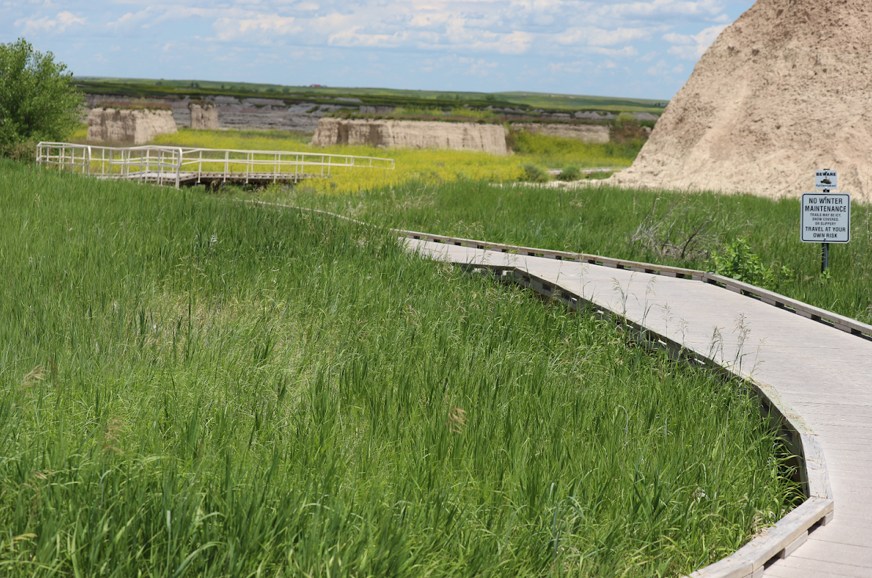 a gray boardwalk winds through tall, green prairie grasses with a sign warning of rattlesnakes and no winter maintenance.