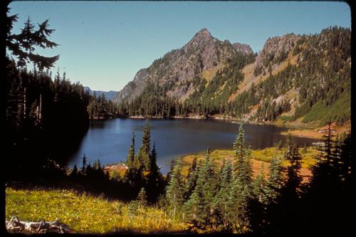 Views of Olympic National Park, Washington