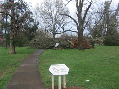 Tornado Damage at Stones River National Battlefield in April 2009