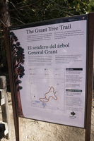 A metal framed sign with a metal base sits in front of a pine tree. 