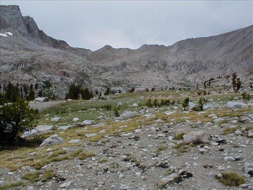 Colby Pass Meadow in July. 2003, Sequoia and Kings Canyon National Park