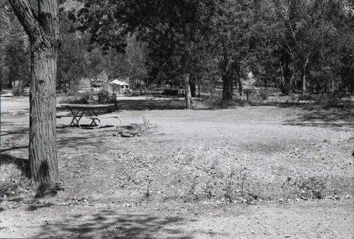 Campsites with picnic tables and grills, tent set up in background of South Campground.