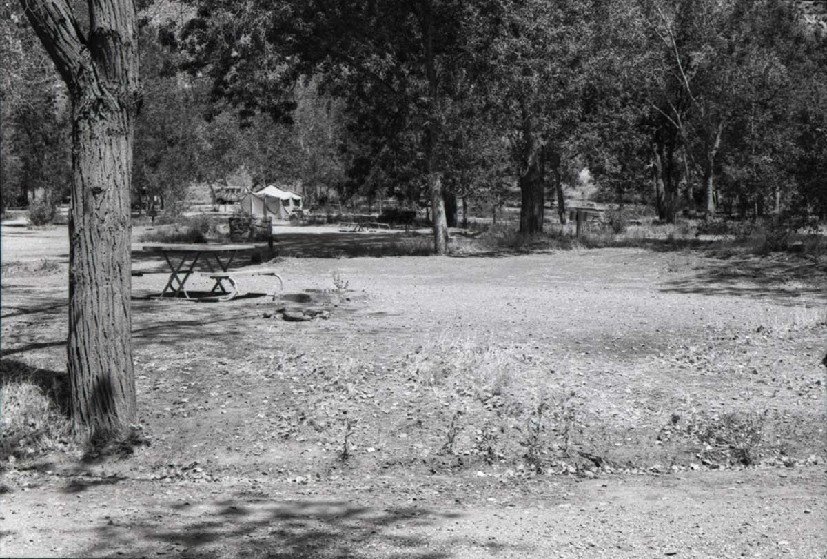 Campsites with picnic tables and grills, tent set up in background of South Campground.
