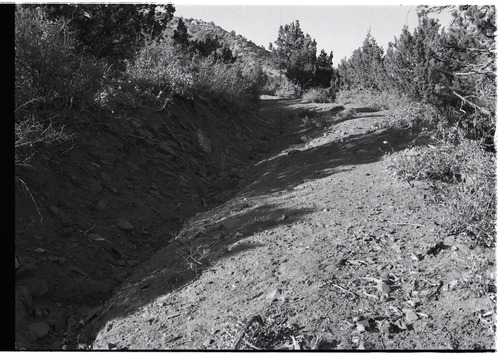 BW photos of rock slides in Kolob Canyons - 35mm.
