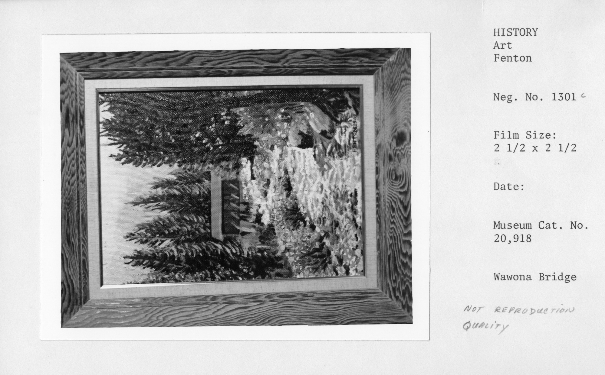 Wawona Bridge. Museum Cat. No. 20918.