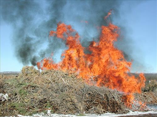 Brush pile burn as part of fuel reduction, Mesa Verde National Park, Jan. 2002