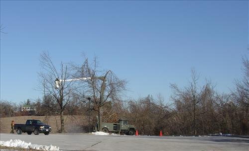 Wilson's Creek National Battlefield Ice Storm, January 2007, Before and During Clean Up