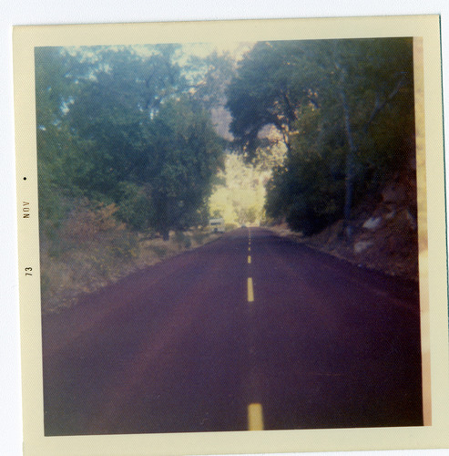 Road after sealcoating with yellow painted lane divider lines and tree-lined road.