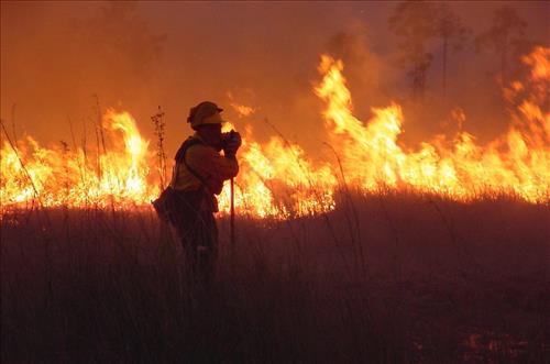 Prescribed burning at Everglades National Park, April 2002
