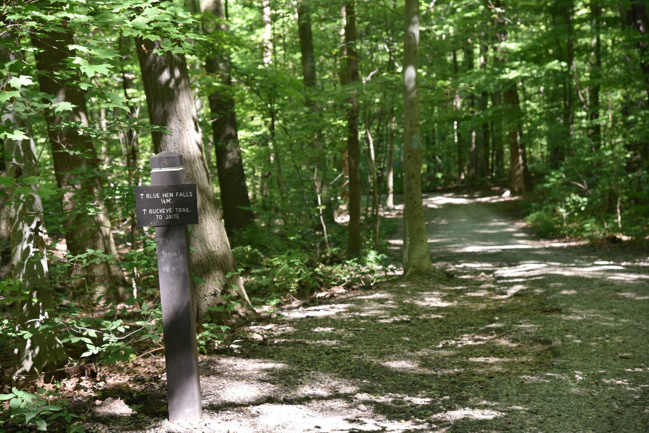 A wooden sign painted brown stands left of the gravel and dirt trail surrounded by green forest. Text reads “Blue Hen Falls 1/16 M” and “Buckeye Trail to Jaite,” both with an arrow pointed up.