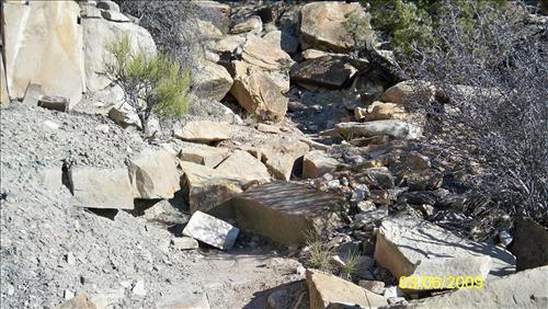 Park Trails - Perform Preventative Maintenance