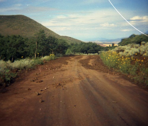 Color Photos of rock slides in Kolob Canyon.