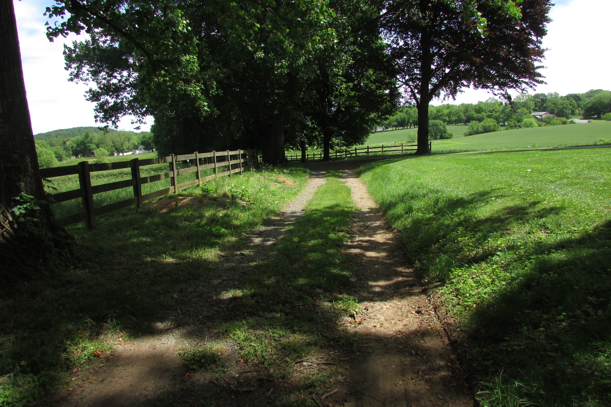 A wooden board fence follows the left side of a two-track dirt driveway, shaded by leafy deciduous trees and bordered by open field. 