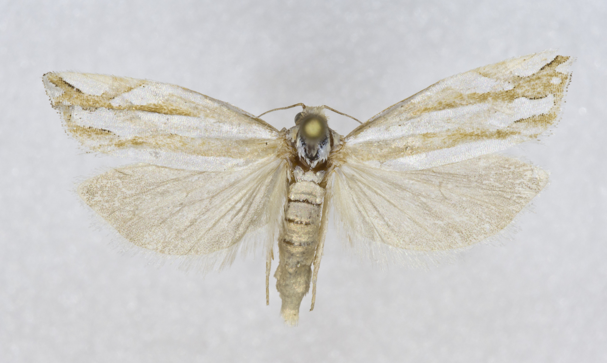 Grand Canyon Museum Collection
Address: 2 Albright Ave, Grand Canyon Village, AZ 86023
Phone: (928) 638-7769