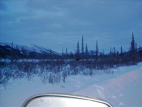 3 Gates of the Arctic National Park and Preserve Hares Survey Winter 2006