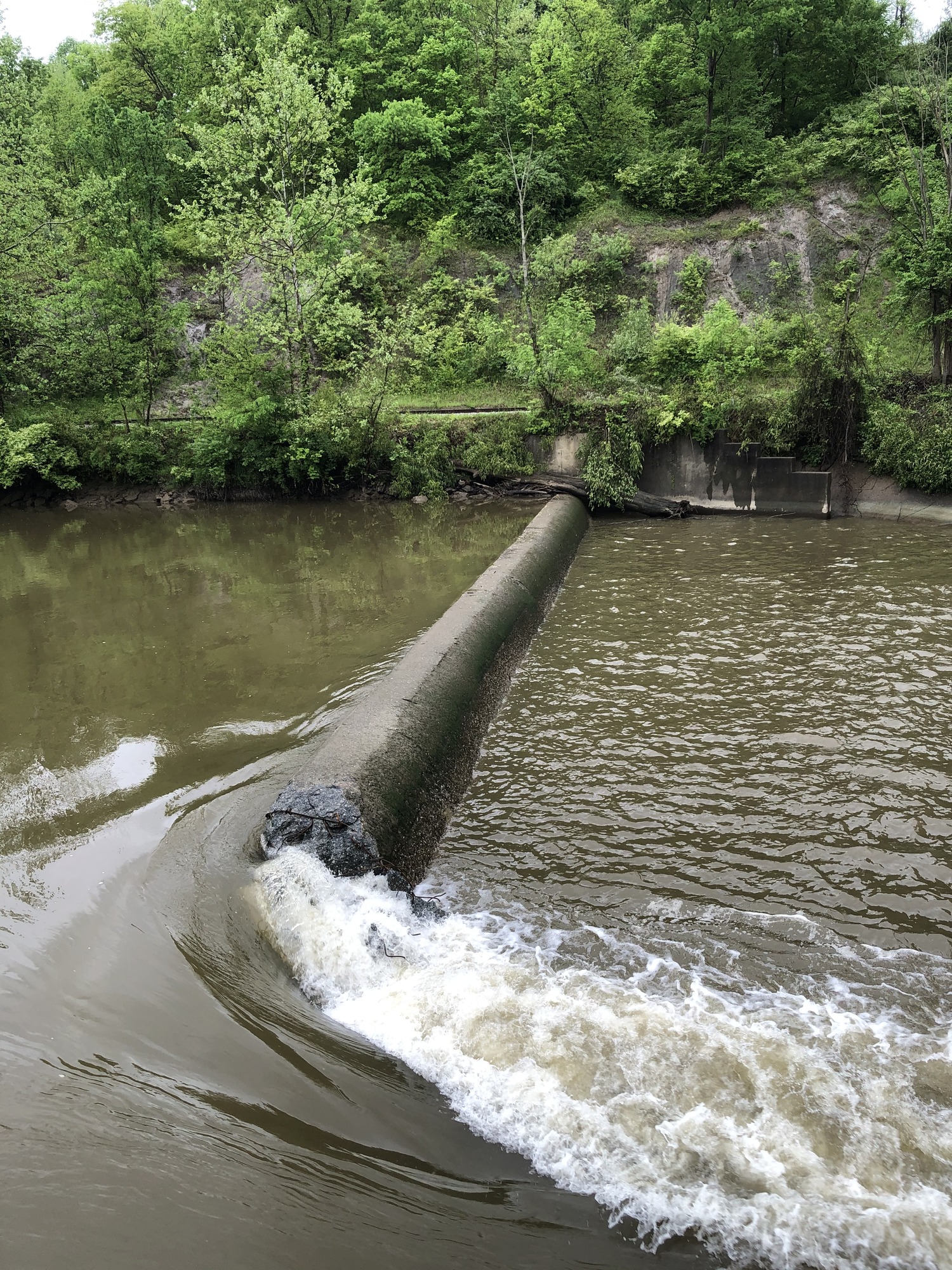 As the water level falls by Day 8, the top of the concrete Brecksville Diversion Dam becomes visible. Water flows through the notch in the foreground. The west dam abutment and Cuyahoga Valley Scenic Railroad tracks are in the background.  