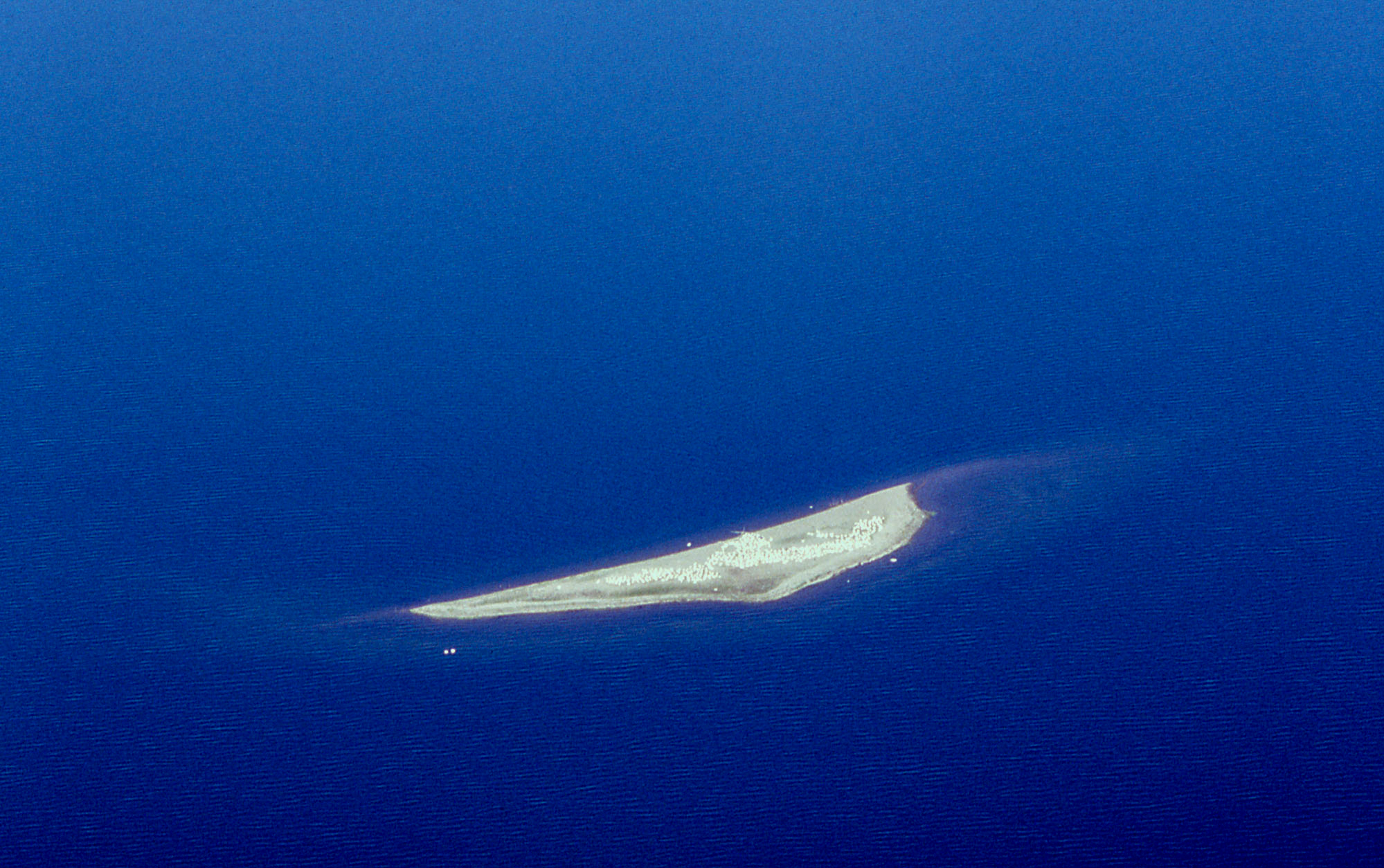 Distant aerial view of one of the Molly islands with pelicans on it