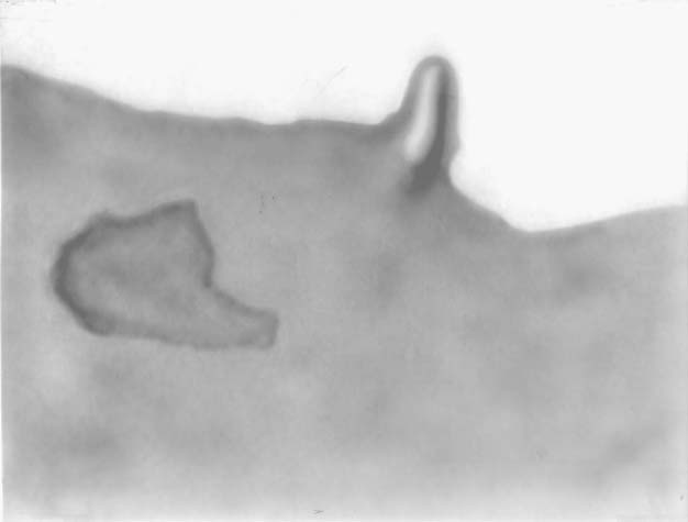 Shaded relief for topography