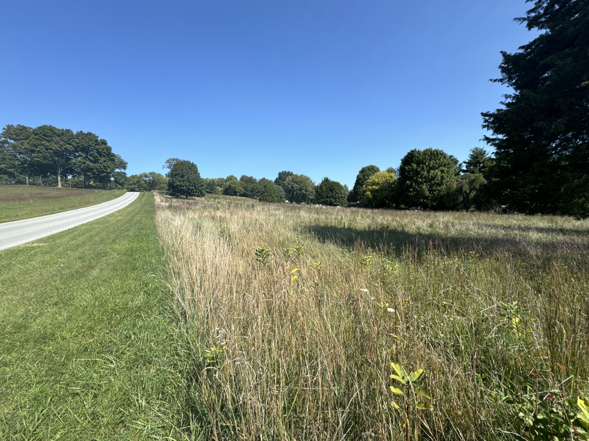 Open Field at the Upper Bolivar Heights Site in Harpers Ferry National Historical Park. This field will be restored with native grasses and wildflowers as part of an upcoming grasslands restoration project.