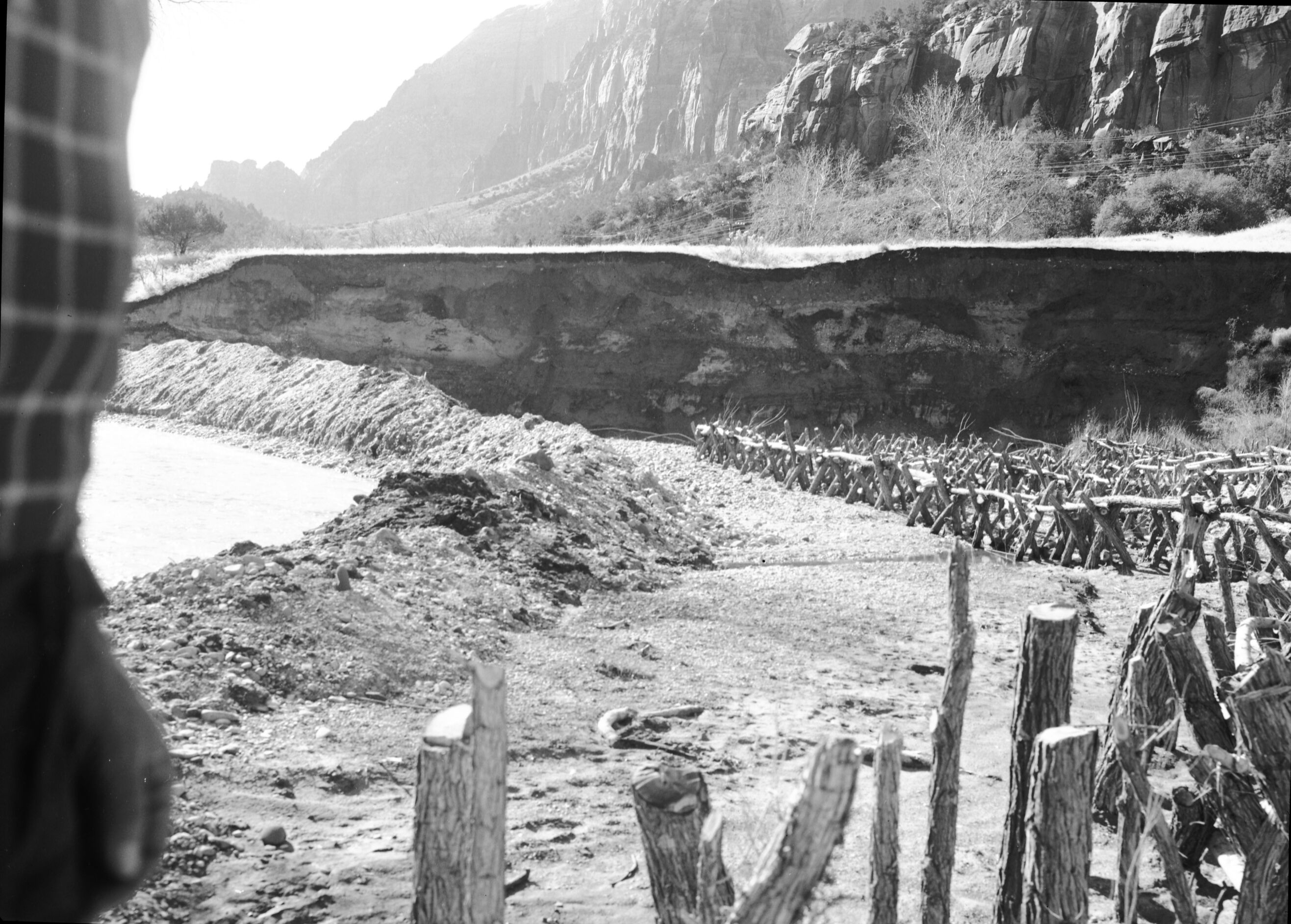 Stream bank protection along eroded stream bank, looking downstream at willow spiders along west bank of Virgin River above Court of Patriarchs.