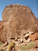 Photograph of dinosaur tracks in the Powell Fossil Track Block tracksite, Glen Canyon National Recreation Area. 