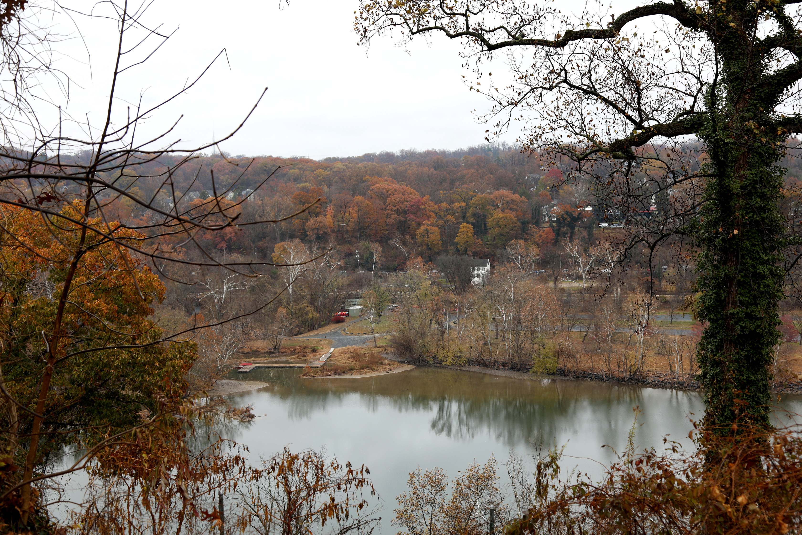 View of Fletchers Cove from George Washington Memorial Parkway during fall. 