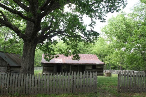 grey picket fence at bottom, shed and tree at left, cabin with rusty red roof at center