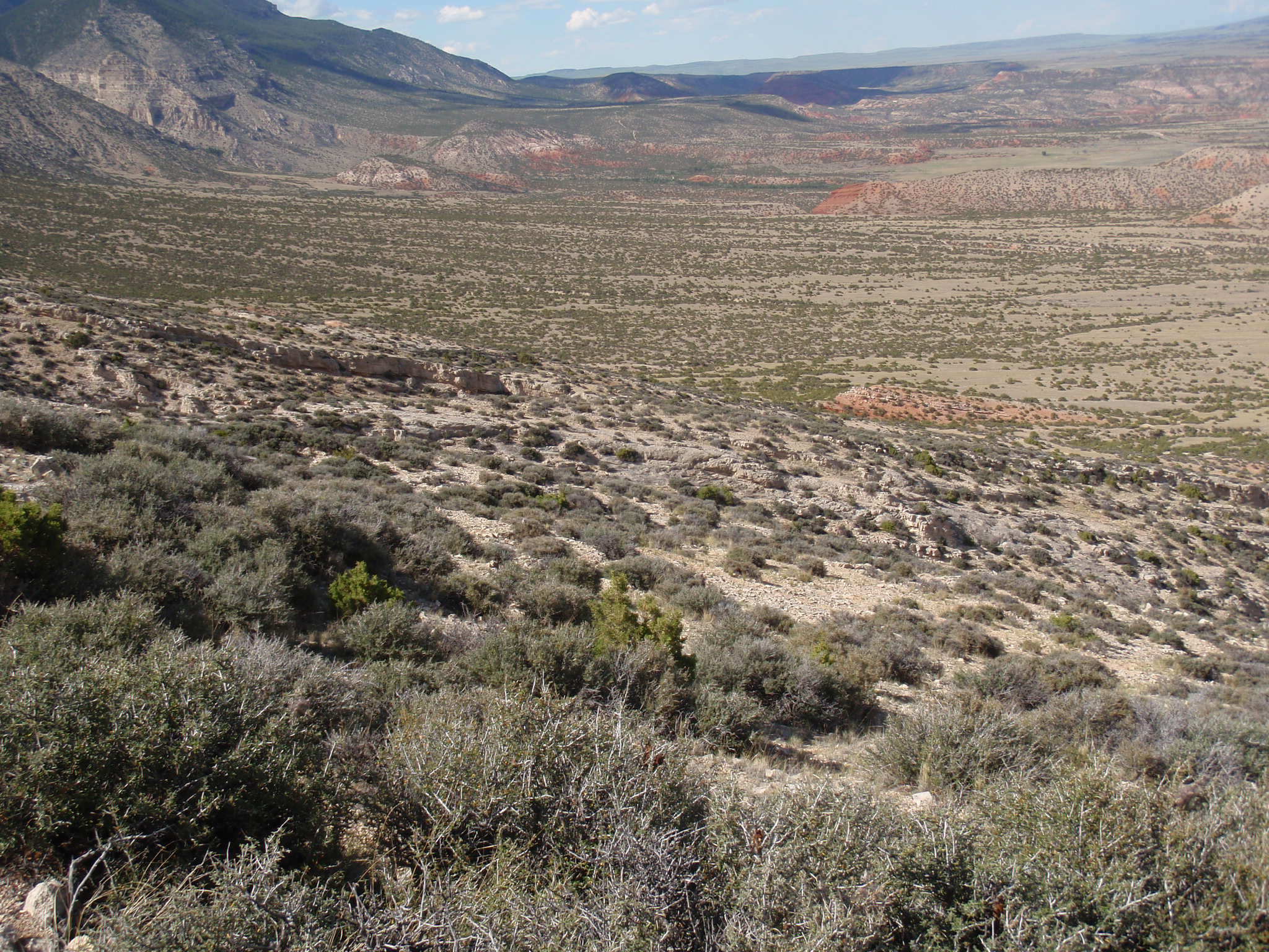 Image of the vegetation and landscape at photo point in Bighorn Canyon NRA 