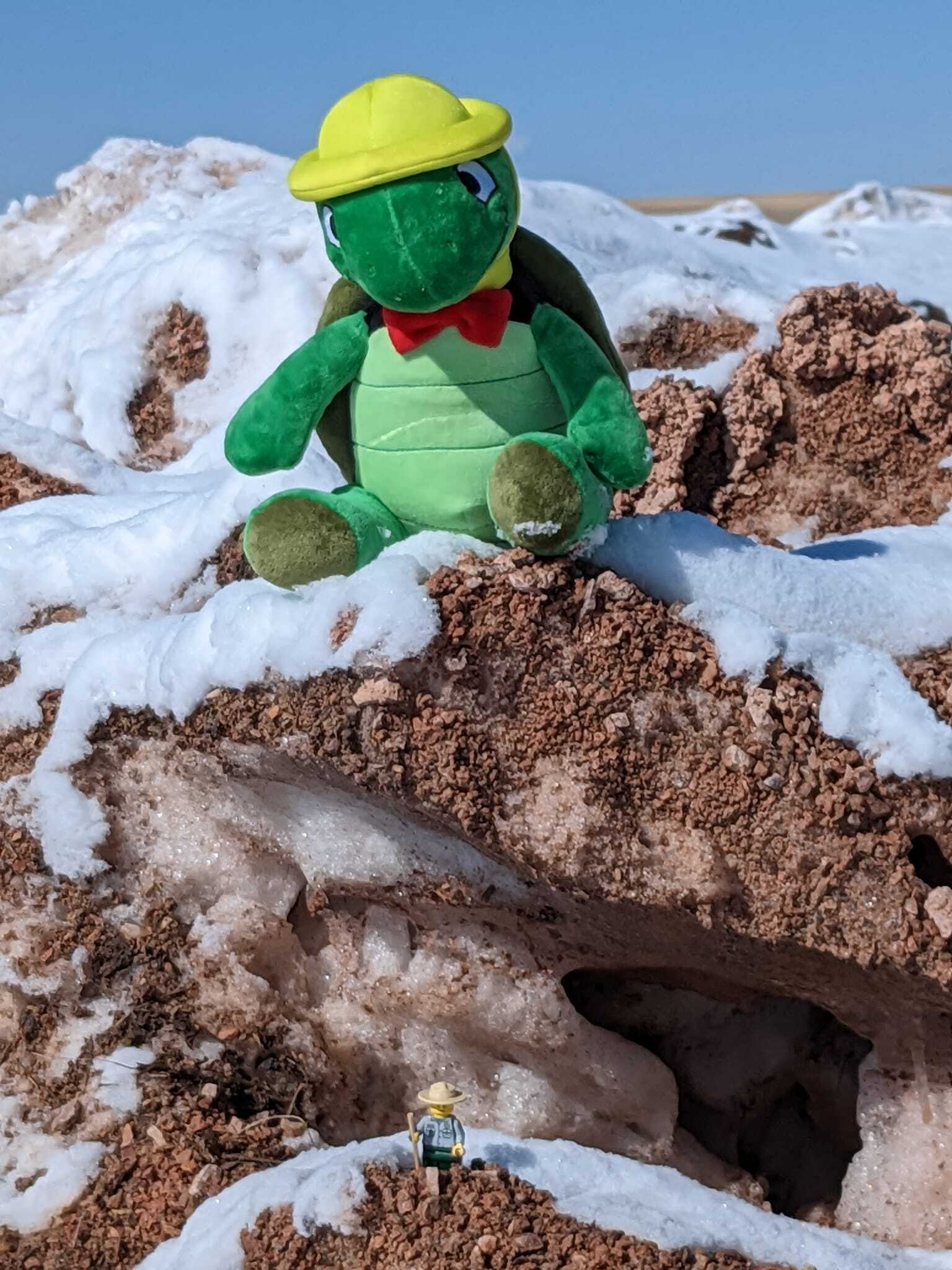 Plush green turtle and a lego park ranger on a mound of snow and gravel. 