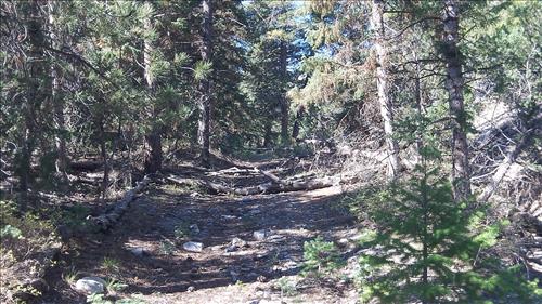 Rehabilitate SF Baker Creek and North Fork Big Wash Trail Systems