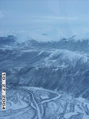 9 Gates of the Arctic National Park and Preserve Koyukuk Moose Survey 2004