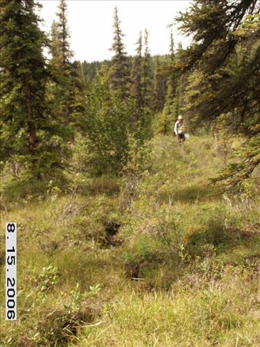 3 Small Mammal Survey in Denali National Park and Preserve in August 2006