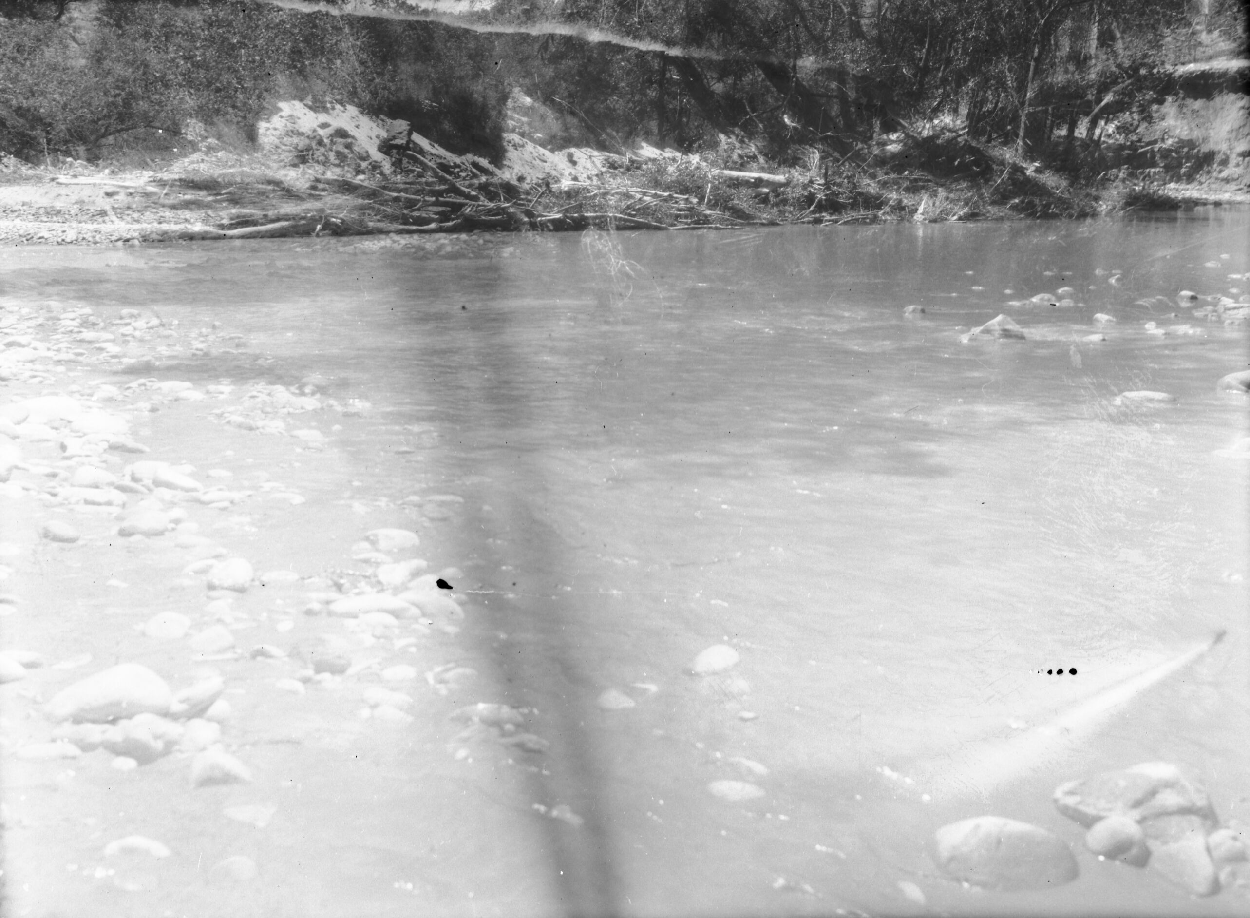 Tree and cable jetties on Virgin River opposite Wiley camp drainage in need of repair after heavy spring floods.