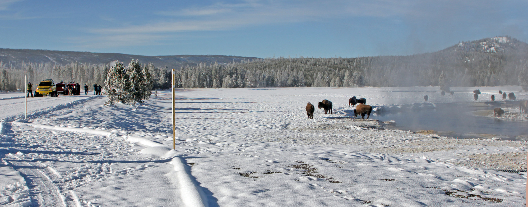 Snowcoaches are stopped on a snow covered road and people are out photographing bison near the river