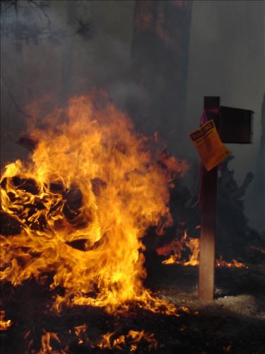 Roads End Prescribed Fire, Sequoia and Kings Canyon National Parks, May 2005