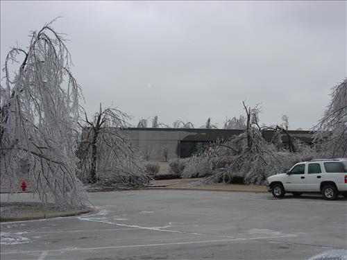 Wilson's Creek National Battlefield Ice Storm, January 2007, Before and During Clean Up