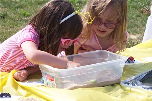 Junior Ranger, Butterfly's Breakfast, Activities