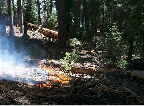 Dark Wildland Fire, July-September 1999, Yosemite National Park