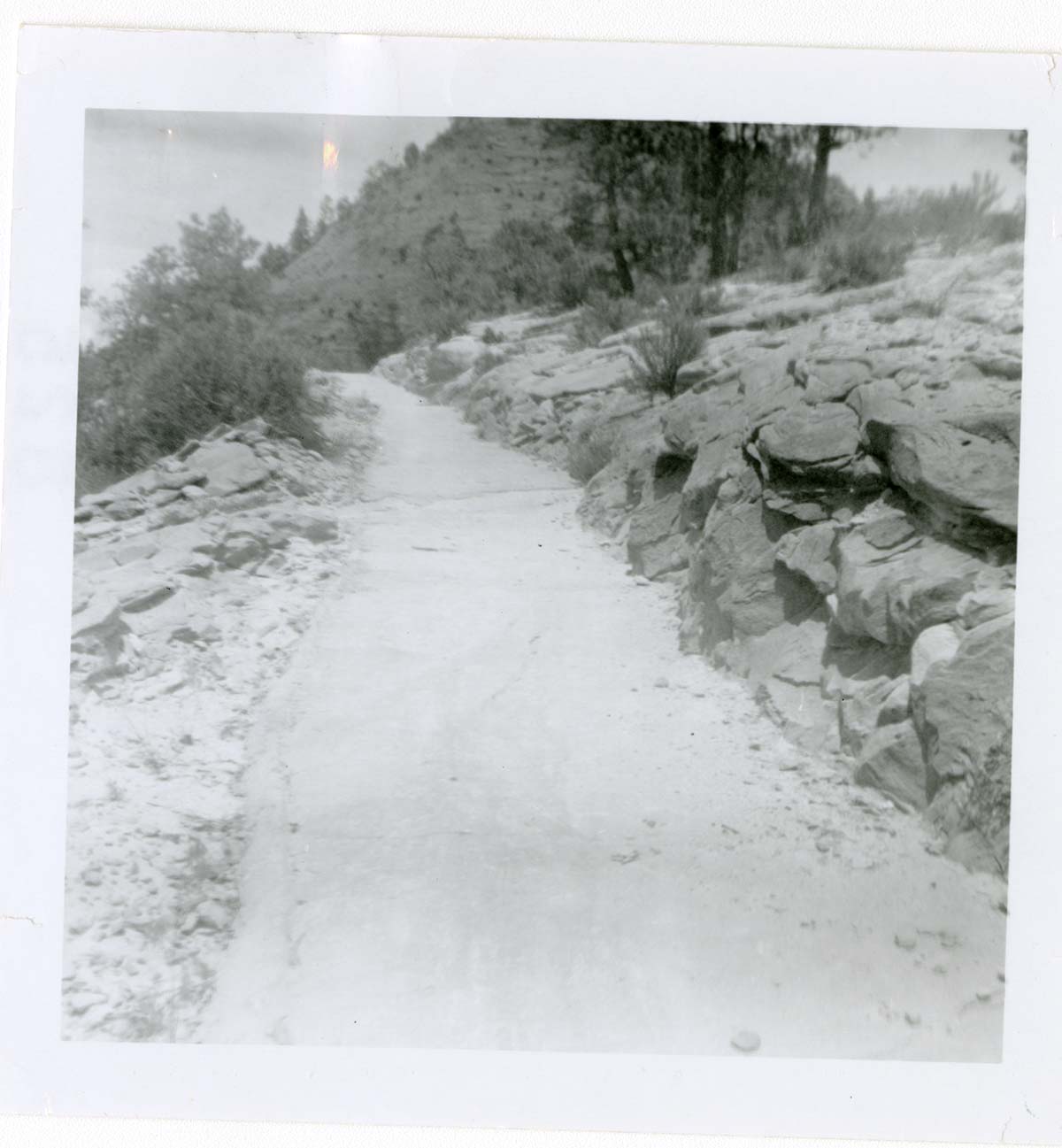 General view of the East Rim trail.
