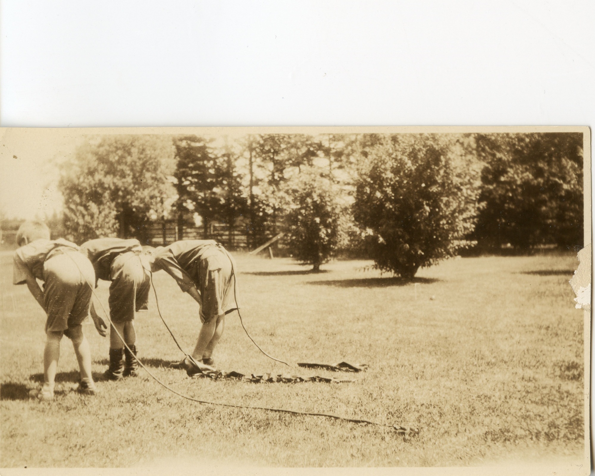 FDR Jr., John, and George Draper Jr., at Campobello