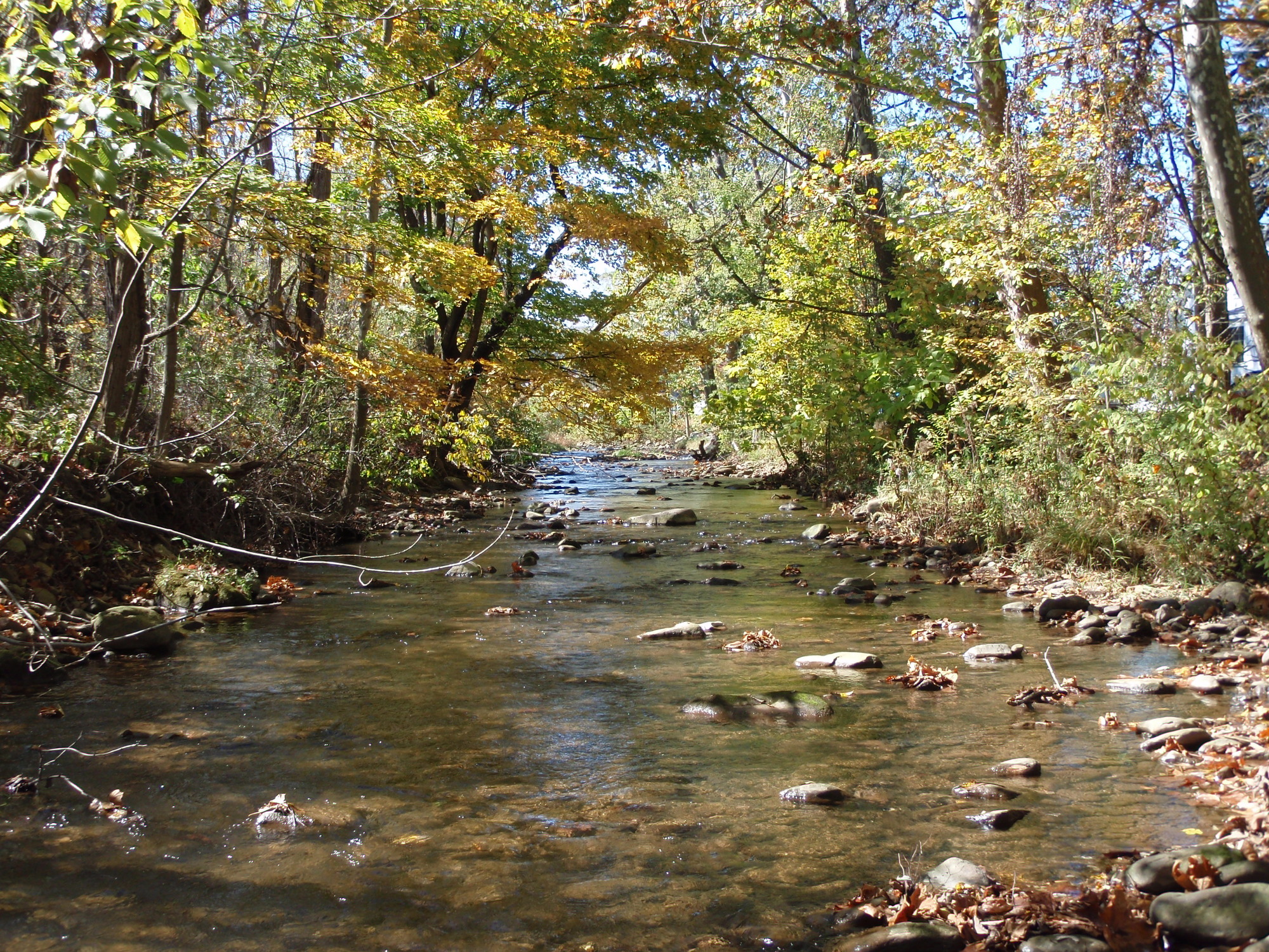 Site visit photo showing the upstream (UP) or downstream (DN) view of a wadeable stream reach taken during benthic macroinvertebrate monitoring at Allegheny Portage Railroad National Historic Site.