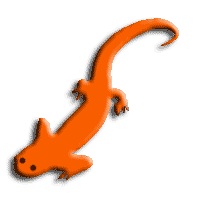 salamander icon