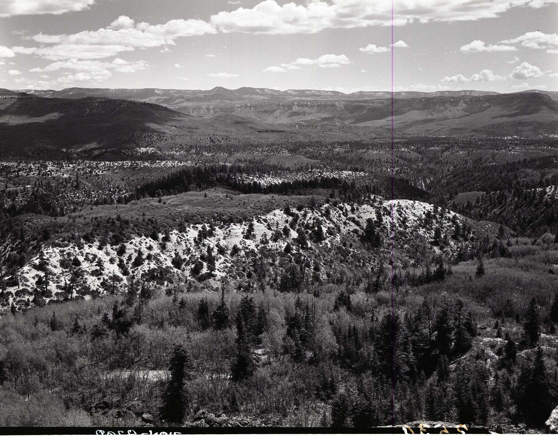 View looking east from Lava Point, sections 30 and 31, T 39S, R 10 W, head of Kolob Canyon, for boundary change.