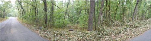 Control Invasive Plants with Student Conservation Corp Team (SCA) along the Blue Ridge Parkway August 2009.