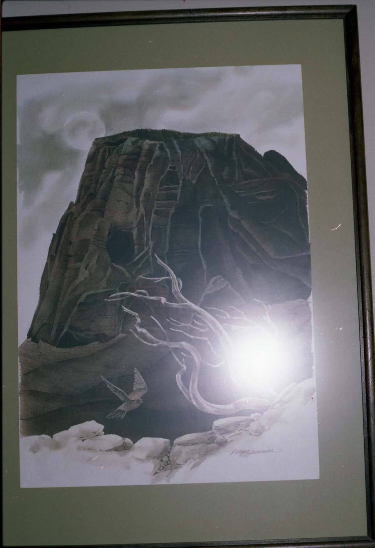 Color Photos of a temporary art exhibit.