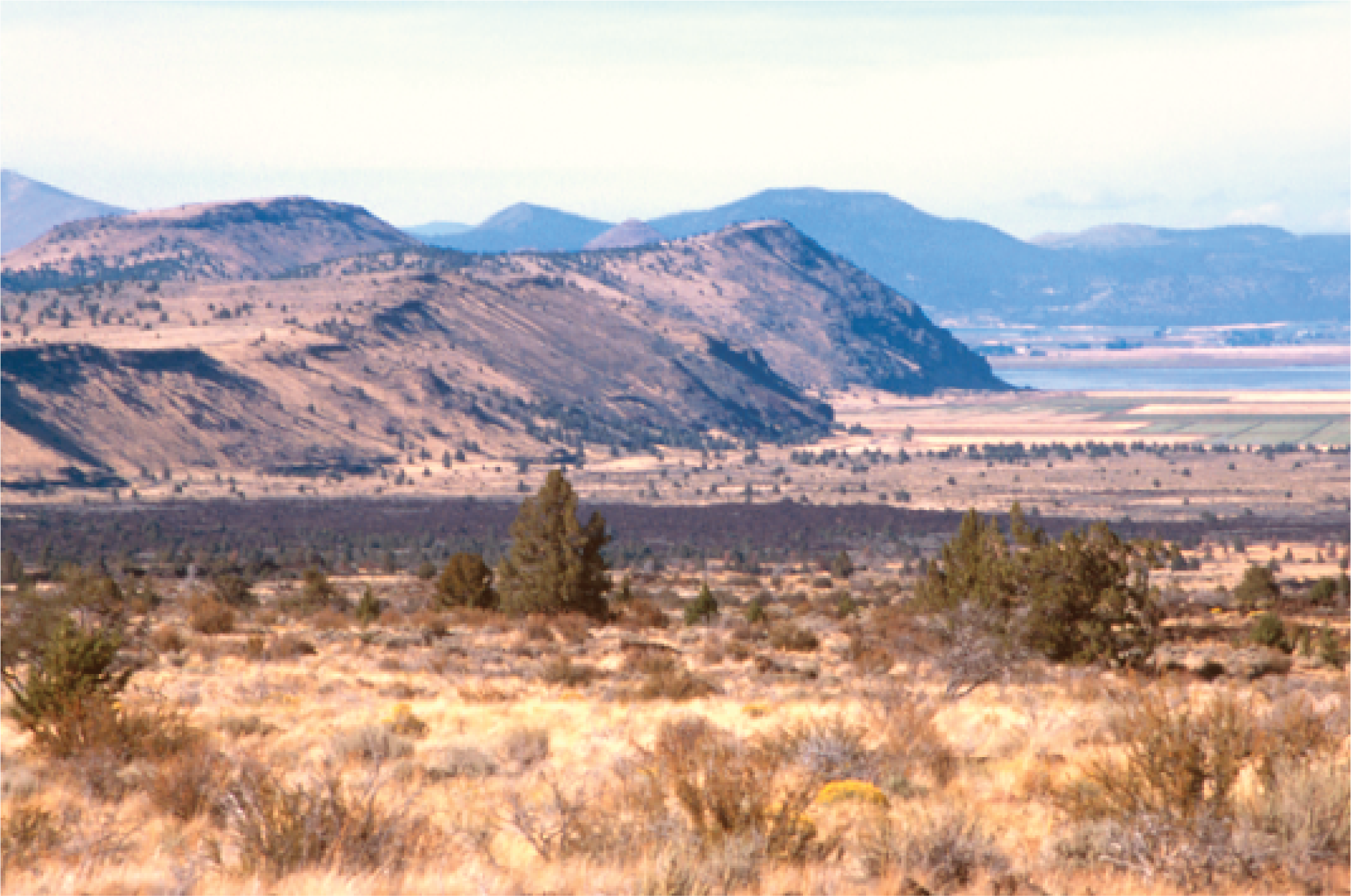 sagebrush valley with cliffs in the distance