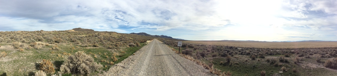 A straight single wide road with sagebrush on both sides. Cattle grazing pastures are located on the right. 