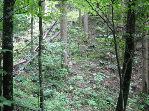 GRSM Accuracy Assessment. Plot Code: GRSM_AA_0432_4