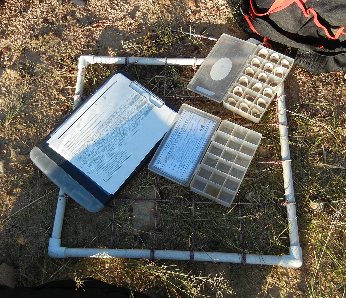 PVC quadrat, clipboard and forms, and two segmented plastic boxes. One of the boxes contains 18 plastic ovals with screens, some filled with soil.