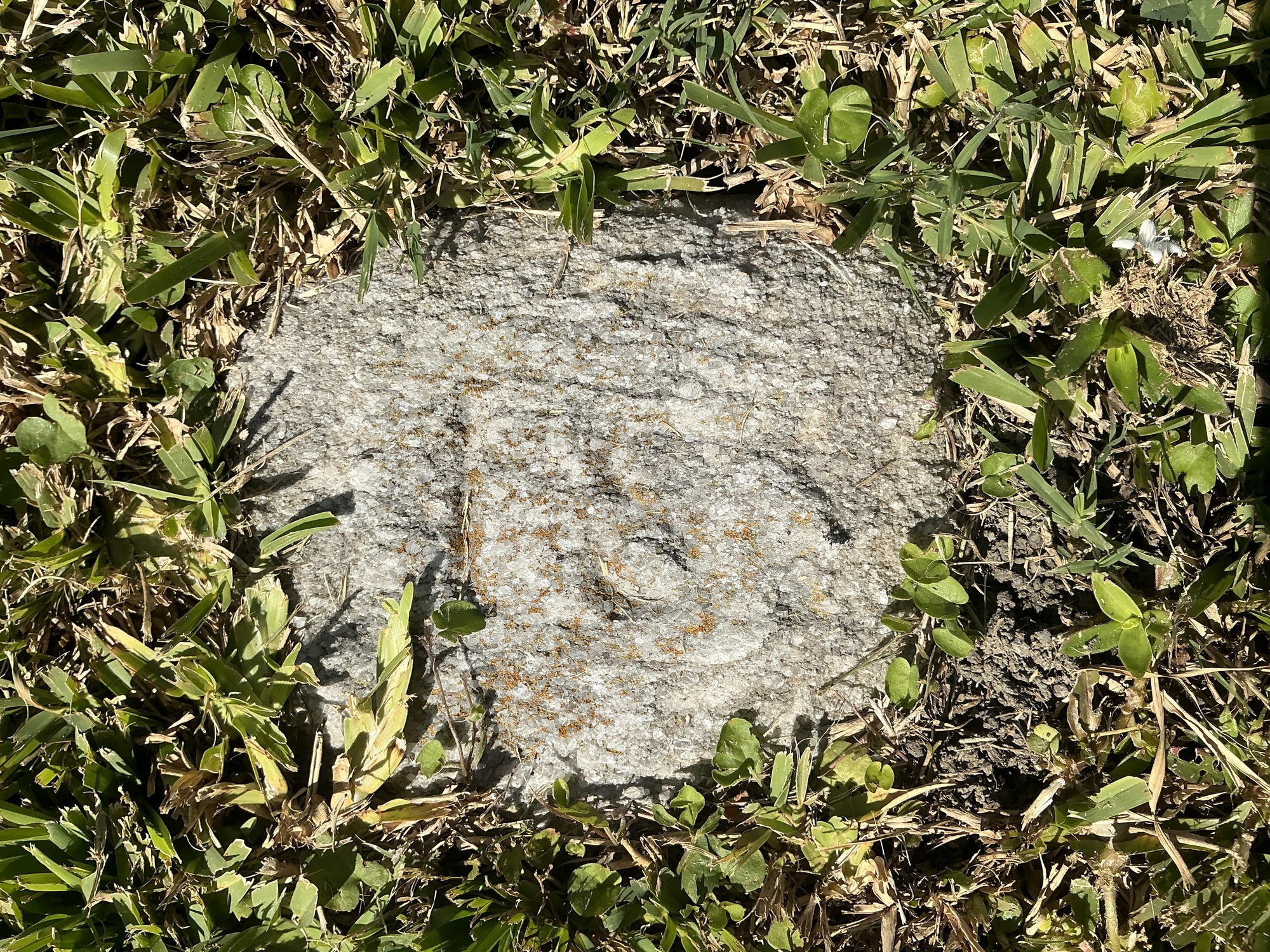 Top of flat marble marker